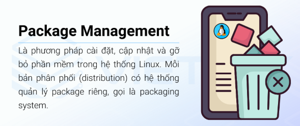 Package,  Package Management, Linux 